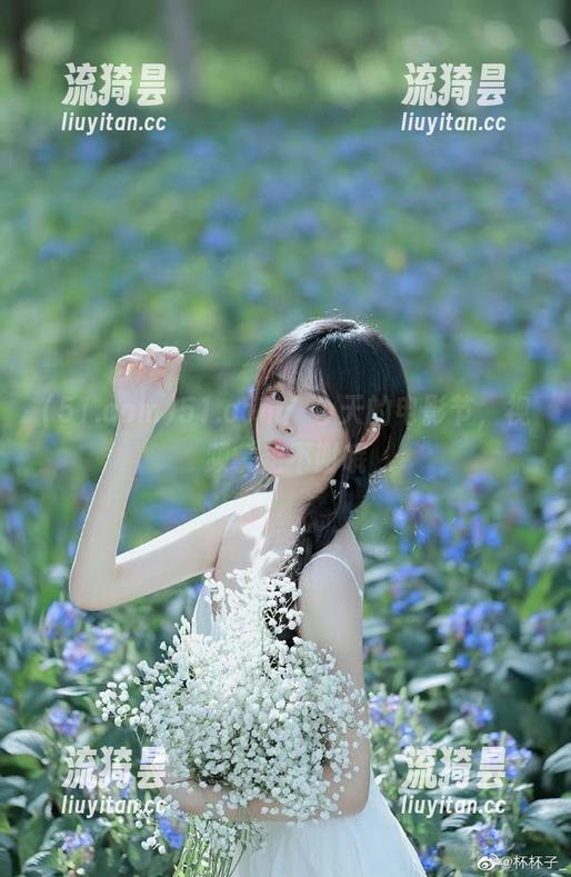 51.com：今天的电影节，视频拿走不谢哦