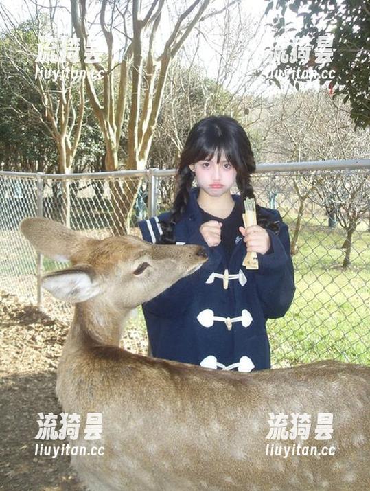 51吃瓜网 登录后,瓜皮都透着秘密,51吃瓜网让你瞬间变成“真相探测器”!