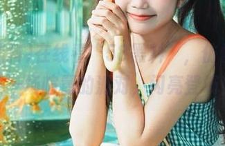 在线看“58黑料”，仿佛在享受一场喧嚣的派对，闪亮登场！