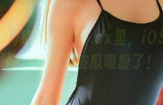 别问，718.sx里，iOS全装神仙，今天又被瓜吸粉了！