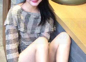在吃瓜论坛上，观看宠物们的八卦戏码，乐趣无穷！