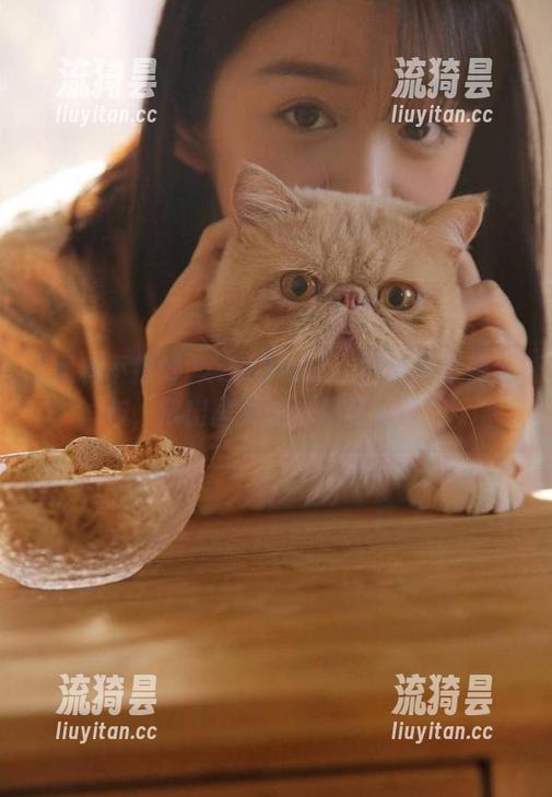 黑料不打烊 zztt32.ccm黑料不打烊发布,滚出圈外的“黑暗童话”